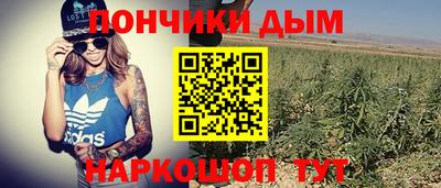 Альфа ПВП Нальчик