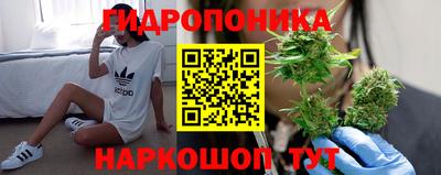 каннабис Берёзовский